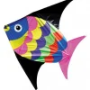 Brookite Kites SkyRay Fun Kite