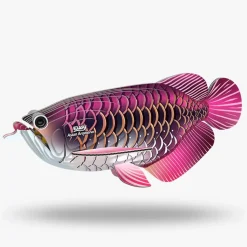 Eugy 118 Asian Arowana Card 3D Puzzle