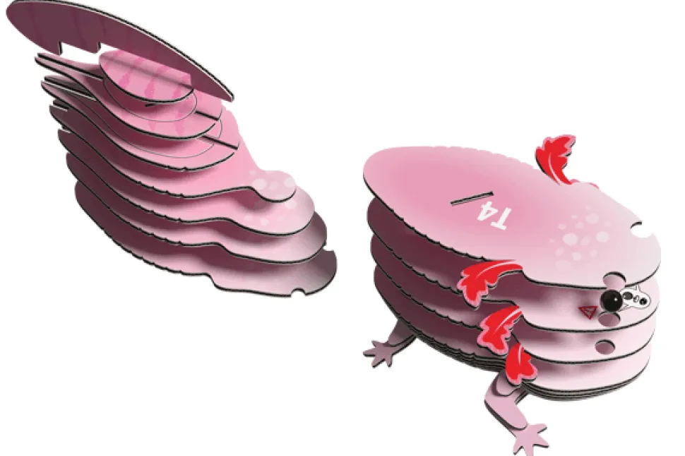 Eugy 139 Axolotl Card 3D Puzzle