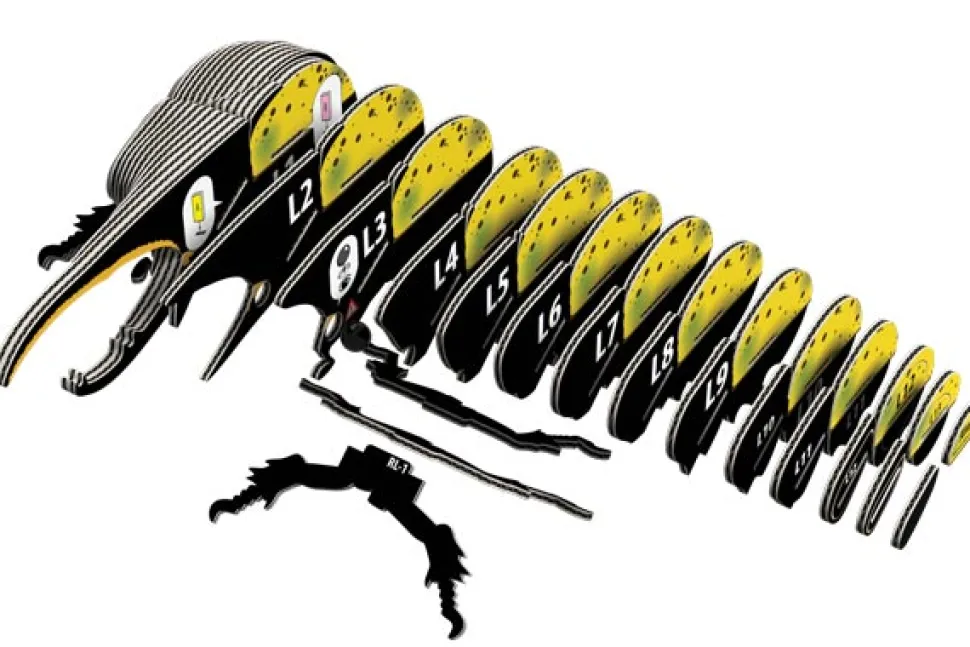 Eugy 112 Hercules Beetle Card 3D Puzzle