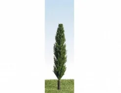 K+M Model Trees 90mm Single Poplar Model Tree