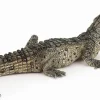 Papo Toys Baby Crocodile