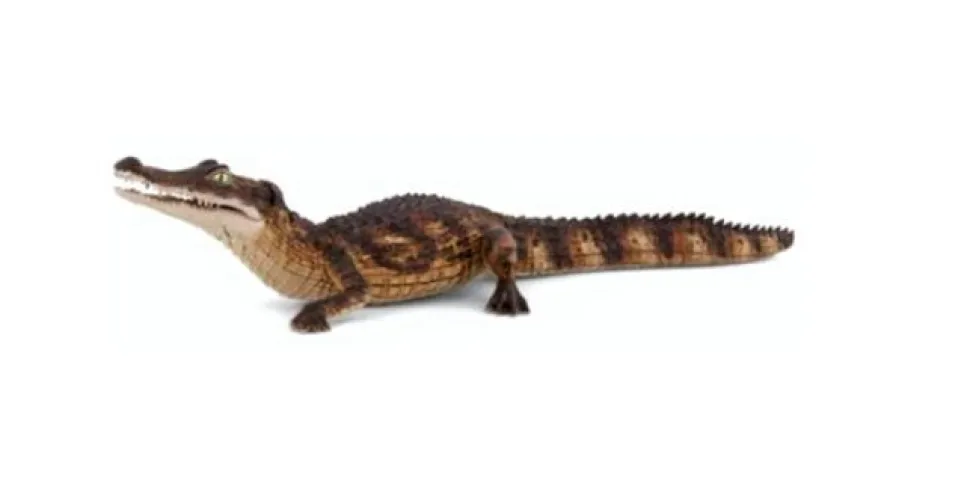 Papo Toys Cayman