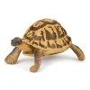 Papo Toys Hermann's Tortoise