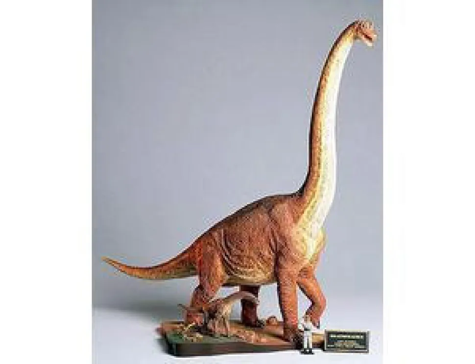 Tamiya Brachiosaurus Diorama Set Model Kit