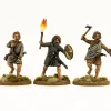 Victrix 28mm Irish Warriors with Dogs